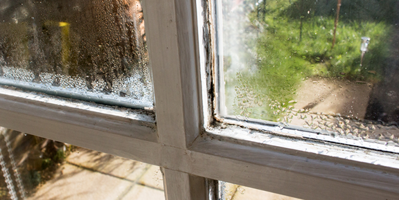 When to Replace Old Windows: Signs It’s Time to Upgrade