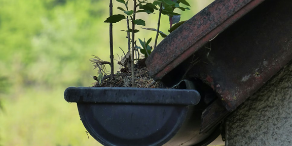 How Clogged Gutters Lead to Roof & Siding Damage
